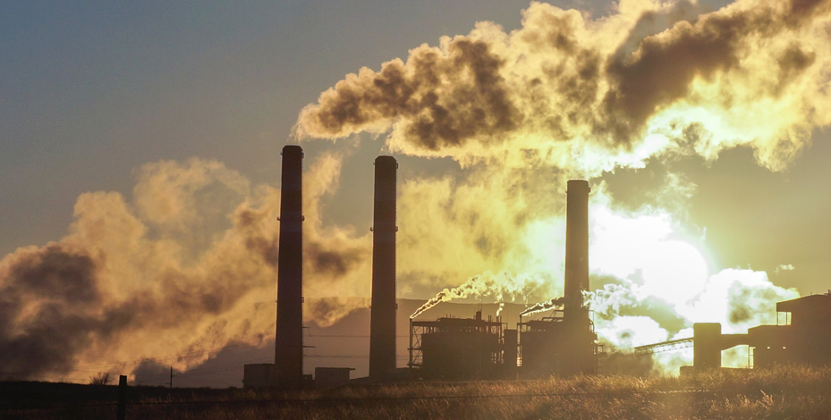Government-rolls-back-mandatory-coal-import-order-for-power-plants